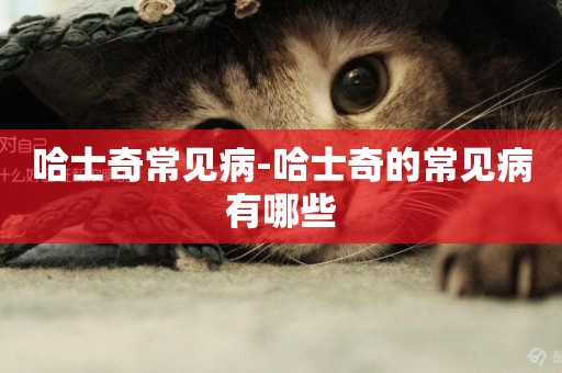 哈士奇常見病-哈士奇的常見病有哪些