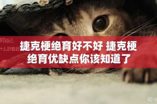 捷克梗絕育好不好 捷克梗絕育優缺點你該知道了