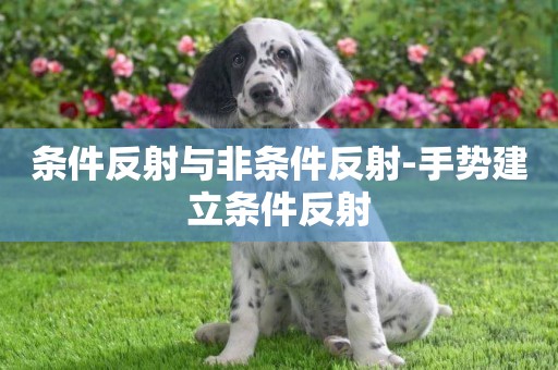 條件反射與非條件反射-手勢建立條件反射