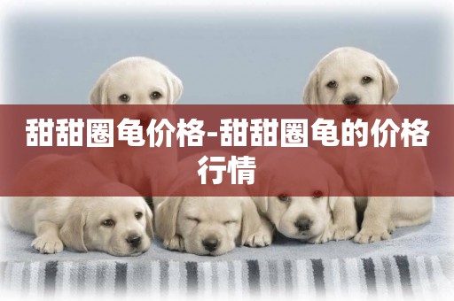 甜甜圈龜價格-甜甜圈龜的價格行情