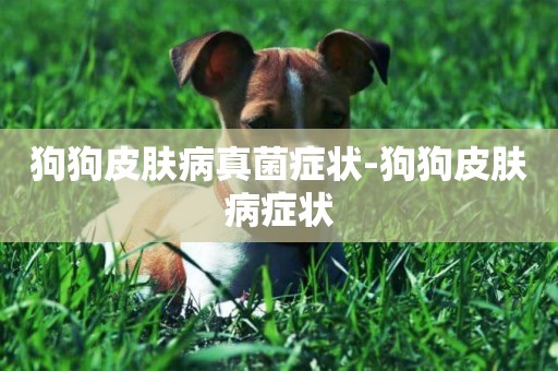狗狗皮膚病真菌癥狀-狗狗皮膚病癥狀