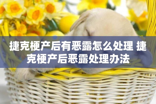 捷克梗產后有惡露怎么處理 捷克梗產后惡露處理辦法