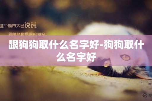 跟狗狗取什么名字好-狗狗取什么名字好