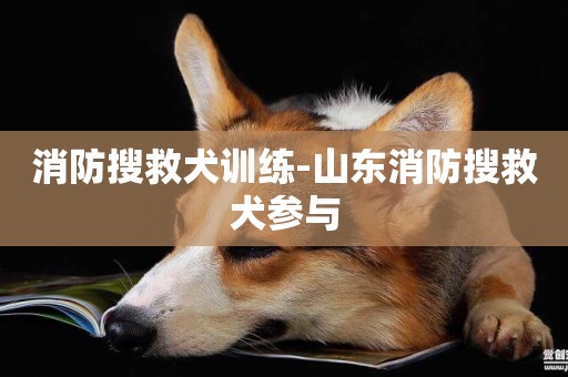消防搜救犬訓練-山東消防搜救犬參與