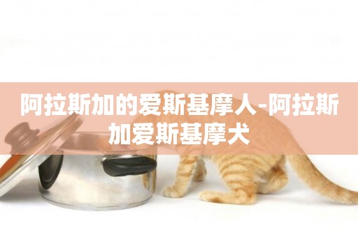 阿拉斯加的愛斯基摩人-阿拉斯加愛斯基摩犬