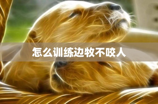 怎么訓練邊牧不咬人