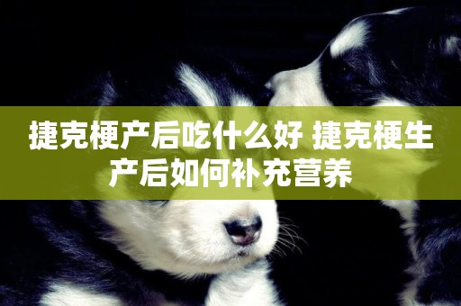 捷克梗產后吃什么好 捷克梗生產后如何補充營養