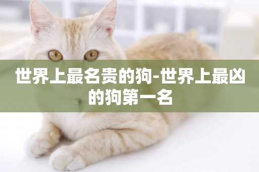 世界上最名貴的狗-世界上最兇的狗第一名