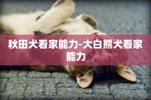 秋田犬看家能力-大白熊犬看家能力