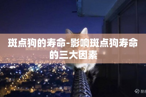 斑點狗的壽命-影響斑點狗壽命的三大因素