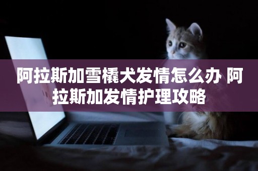 阿拉斯加雪橇犬發情怎么辦 阿拉斯加發情護理攻略