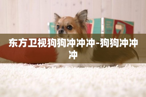 東方衛視狗狗沖沖沖-狗狗沖沖沖