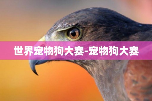 世界寵物狗大賽-寵物狗大賽