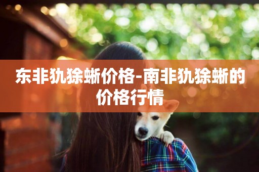 東非犰狳蜥價格-南非犰狳蜥的價格行情