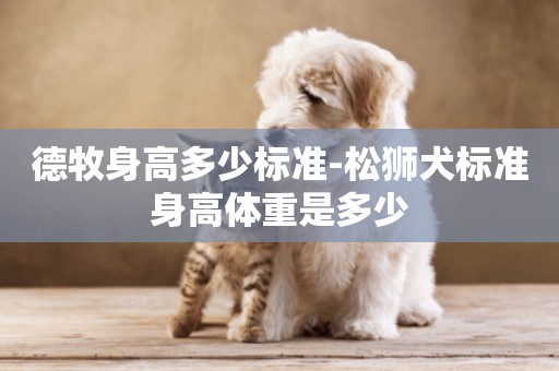 德牧身高多少標準-松獅犬標準身高體重是多少