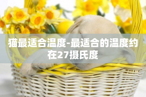 貓最適合溫度-最適合的溫度約在27攝氏度