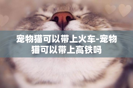 寵物貓可以帶上火車-寵物貓可以帶上高鐵嗎