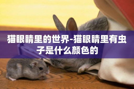 貓眼睛里的世界-貓眼睛里有蟲子是什么顏色的