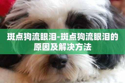 斑點狗流眼淚-斑點狗流眼淚的原因及解決方法