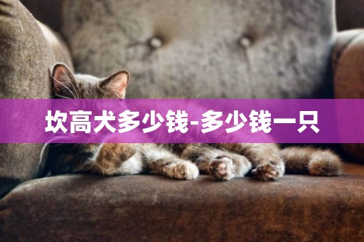 坎高犬多少錢-多少錢一只
