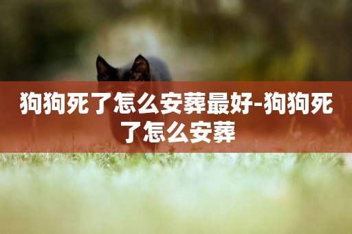狗狗死了怎么安葬最好-狗狗死了怎么安葬