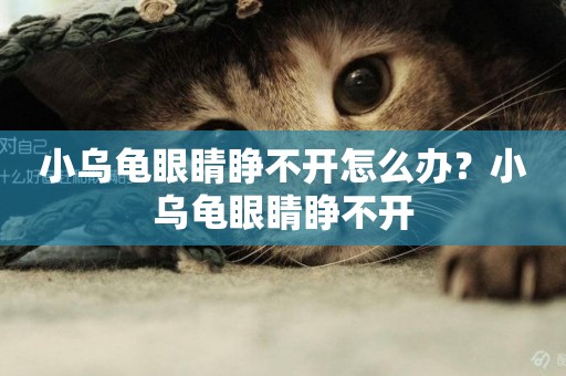 小烏龜眼睛睜不開怎么辦？小烏龜眼睛睜不開