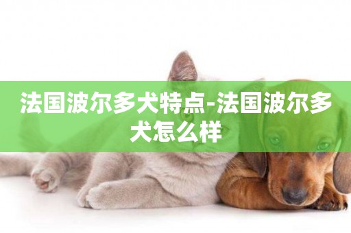 法國波爾多犬特點-法國波爾多犬怎么樣