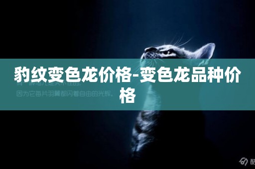 豹紋變色龍價格-變色龍品種價格