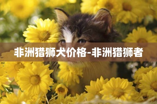 非洲獵獅犬價格-非洲獵獅者
