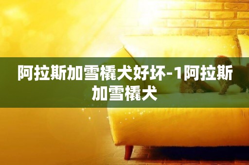 阿拉斯加雪橇犬好壞-1阿拉斯加雪橇犬