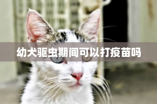幼犬驅蟲期間可以打疫苗嗎