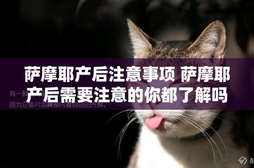 薩摩耶產后注意事項 薩摩耶產后需要注意的你都了解嗎