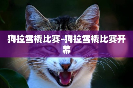 狗拉雪橇比賽-狗拉雪橇比賽開幕