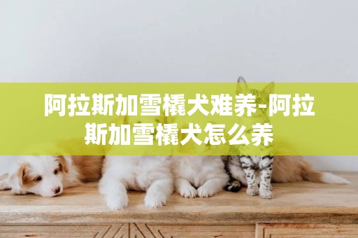 阿拉斯加雪橇犬難養-阿拉斯加雪橇犬怎么養
