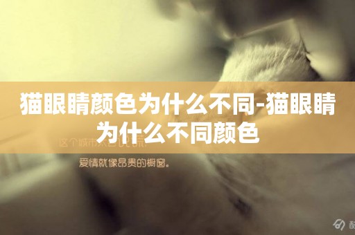 貓眼睛顏色為什么不同-貓眼睛為什么不同顏色