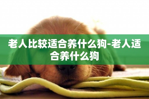 老人比較適合養什么狗-老人適合養什么狗