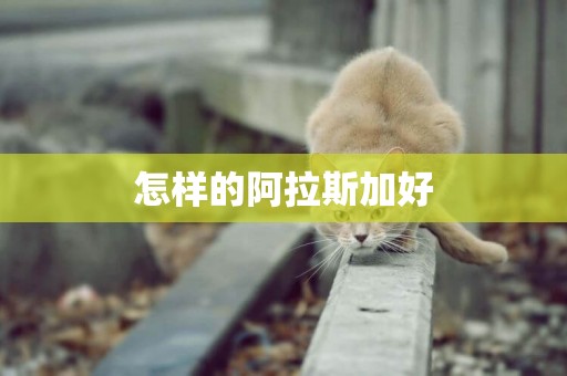 怎樣的阿拉斯加好