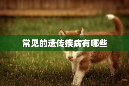 常見的遺傳疾病有哪些