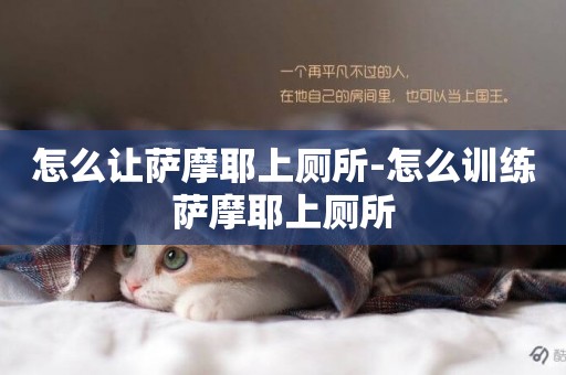 怎么讓薩摩耶上廁所-怎么訓練薩摩耶上廁所