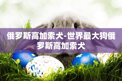 俄羅斯高加索犬-世界最大狗俄羅斯高加索犬