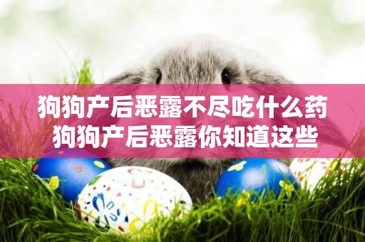 狗狗產后惡露不盡吃什么藥 狗狗產后惡露你知道這些嗎