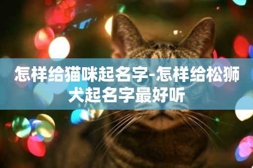 怎樣給貓咪起名字-怎樣給松獅犬起名字最好聽
