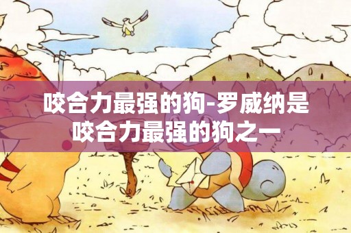 咬合力最強的狗-羅威納是咬合力最強的狗之一