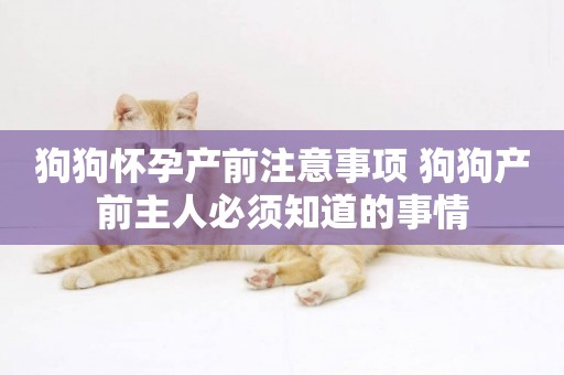 狗狗懷孕產前注意事項 狗狗產前主人必須知道的事情