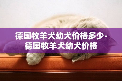 德國牧羊犬幼犬價格多少-德國牧羊犬幼犬價格