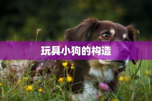 玩具小狗的構造