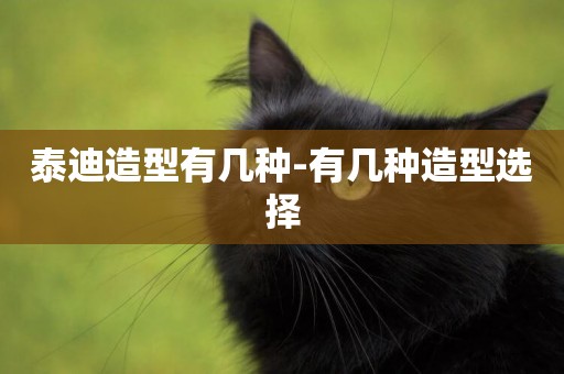 泰迪造型有幾種-有幾種造型選擇