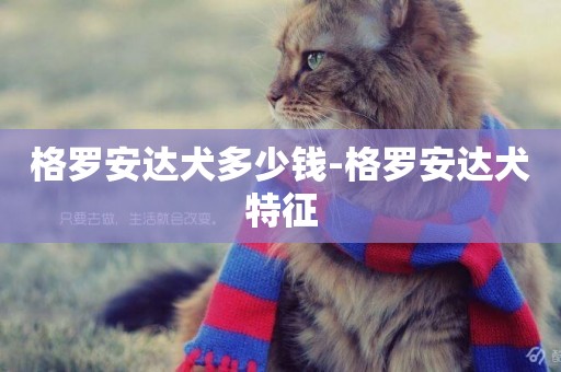格羅安達犬多少錢-格羅安達犬特征