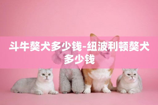 斗牛獒犬多少錢-紐波利頓獒犬多少錢
