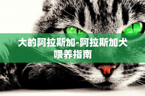 大的阿拉斯加-阿拉斯加犬喂養指南